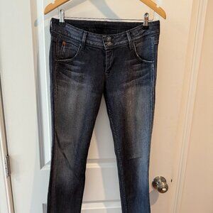 Gray Straight Leg Hudson Jeans Size 28
